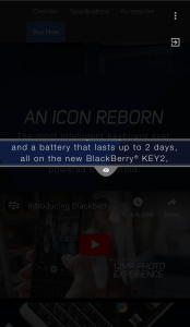 BlackBerry Privacy Shade Example